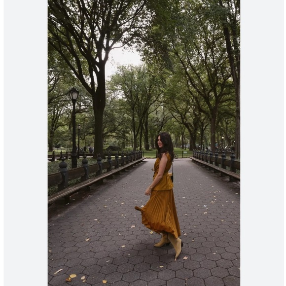 Anthropologie Vested Pleated Dress - Picture 11 of 12